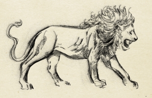 lion